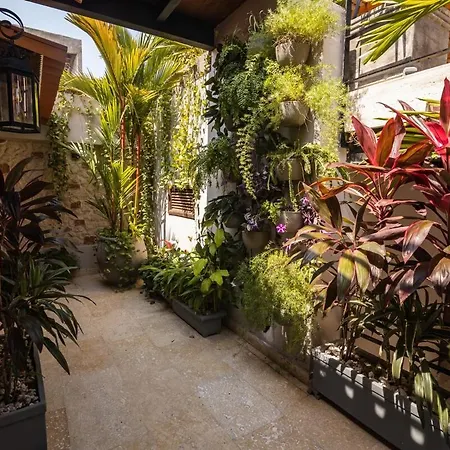 Casa Del Hidalgo - Walled 7br Colonial